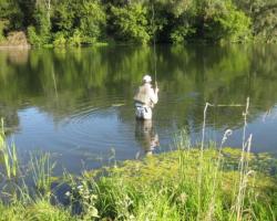 Temporary restrictions and prohibitions for anglers Ban on recreational fishing