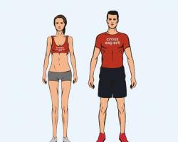 Plano de nutrição para ectomorfos para ganho de massa muscular: de um corpo magro a um corpo musculoso Treinamento ectomorfo para ganho de massa